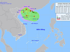Ảnh bìa bài viết 772395