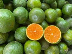 Ảnh bìa bài viết 772544