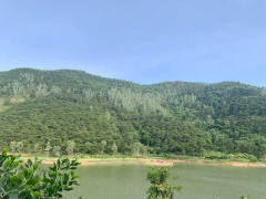 Ảnh bìa bài viết 772437