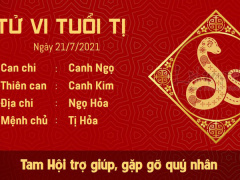 Ảnh bìa bài viết 772374