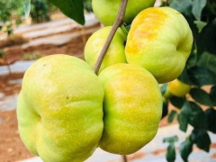 Ảnh bìa bài viết 772855