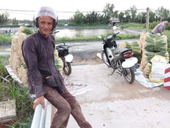 Ảnh bìa bài viết 773120