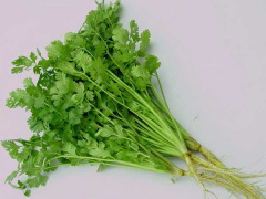 Ảnh bìa bài viết 773211
