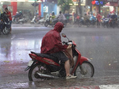 Ảnh bìa bài viết 773067
