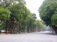 Ảnh bìa bài viết 773369