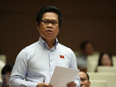Ảnh bìa bài viết 773395