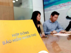Ảnh bìa bài viết 773352