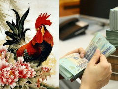 Ảnh bìa bài viết 773341