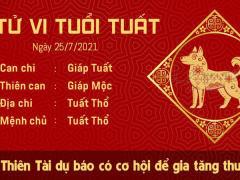 Ảnh bìa bài viết 773265