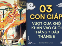 Ảnh bìa bài viết 773652
