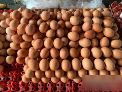 Ảnh bìa bài viết 773585