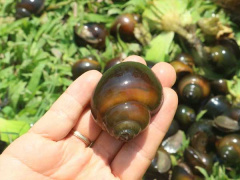 Ảnh bìa bài viết 773726