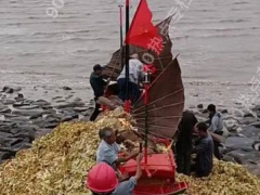 Ảnh bìa bài viết 773866