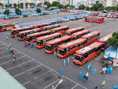 Ảnh bìa bài viết 773733