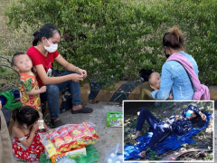 Ảnh bìa bài viết 774108