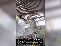 Ảnh bìa bài viết 774283