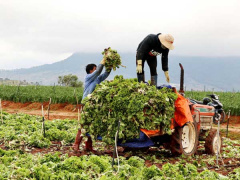 Ảnh bìa bài viết 774487