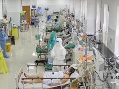 Ảnh bìa bài viết 774554