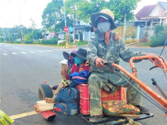 Ảnh bìa bài viết 774521