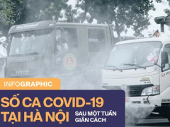 Ảnh bìa bài viết 774570