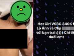 Ảnh bìa bài viết 774660