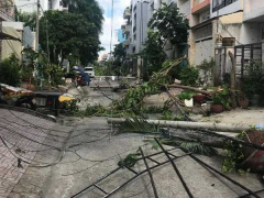 Ảnh bìa bài viết 774716
