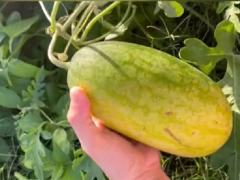 Post cover 774864