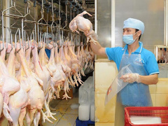 Ảnh bìa bài viết 774805