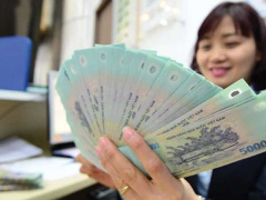 Ảnh bìa bài viết 775048