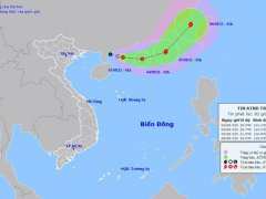 Ảnh bìa bài viết 775194