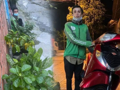 Ảnh bìa bài viết 775345