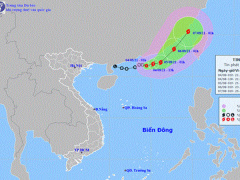 Ảnh bìa bài viết 775394