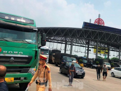 Ảnh bìa bài viết 775561