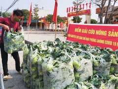 Ảnh bìa bài viết 775516