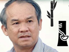 Ảnh bìa bài viết 775728
