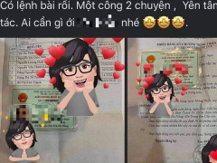 Ảnh bìa bài viết 775779