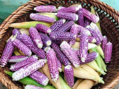 Ảnh bìa bài viết 775615