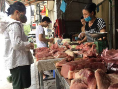 Ảnh bìa bài viết 775876