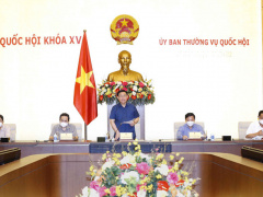 Ảnh bìa bài viết 776082