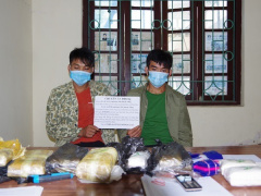Ảnh bìa bài viết 776349