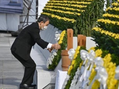 Ảnh bìa bài viết 776642