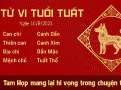 Ảnh bìa bài viết 776719