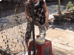 Ảnh bìa bài viết 776982
