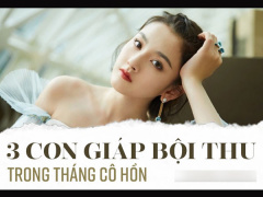 Ảnh bìa bài viết 777026