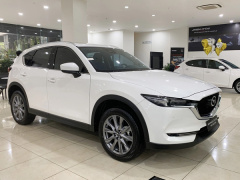Ảnh bìa bài viết 777338