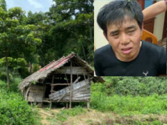 Ảnh bìa bài viết 777418