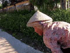 Ảnh bìa bài viết 777624