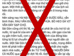 Ảnh bìa bài viết 777662