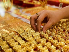 Ảnh bìa bài viết 777498