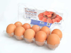 Ảnh bìa bài viết 777520